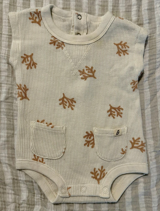 Organic Cotton Onesie, Size 0-3 Months